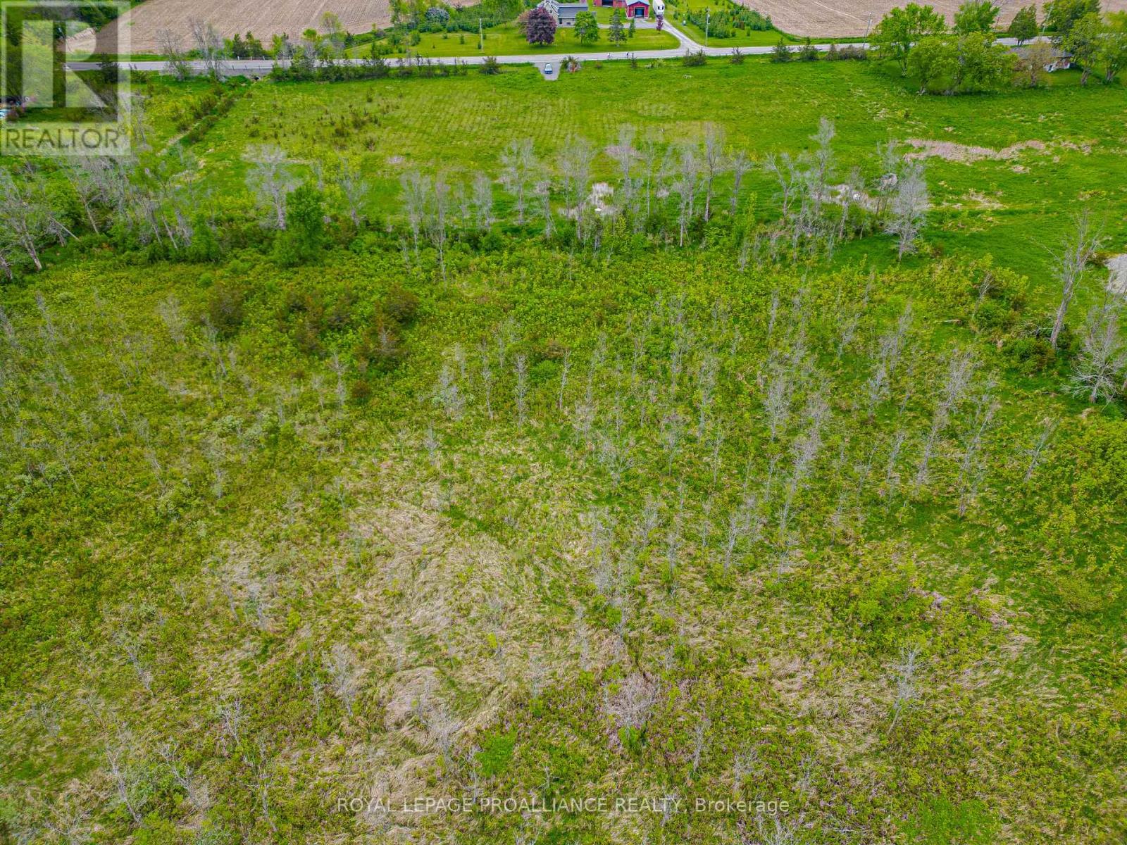 Pt Lt 6 County Road 8 (Part 3), Greater Napanee, Ontario  K7R 3K7 - Photo 9 - X12340445