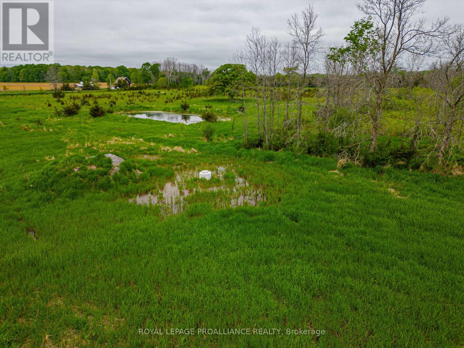 Parts 1 And 2 - Pt Lt 6 County Road 8, Greater Napanee, Ontario  K7R 3K7 - Photo 2 - X12340468