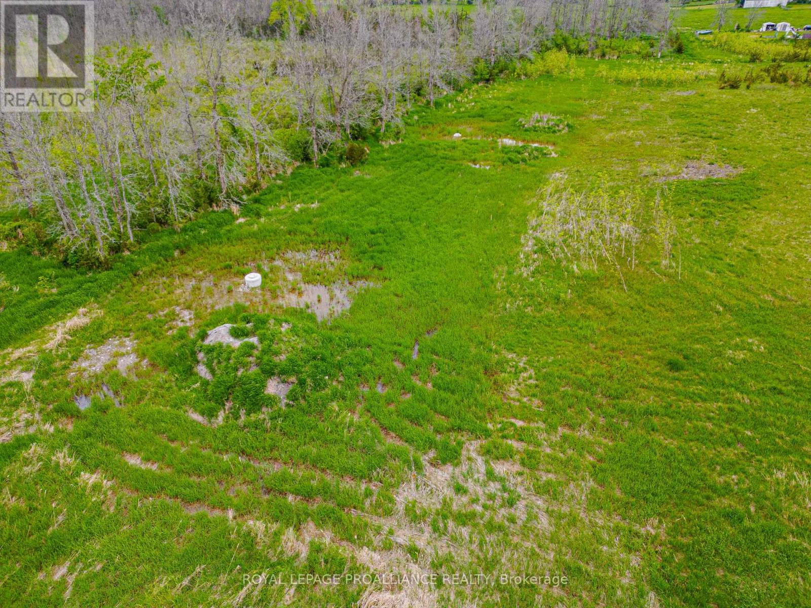 Parts 1 And 2 - Pt Lt 6 County Road 8, Greater Napanee, Ontario  K7R 3K7 - Photo 3 - X12340468
