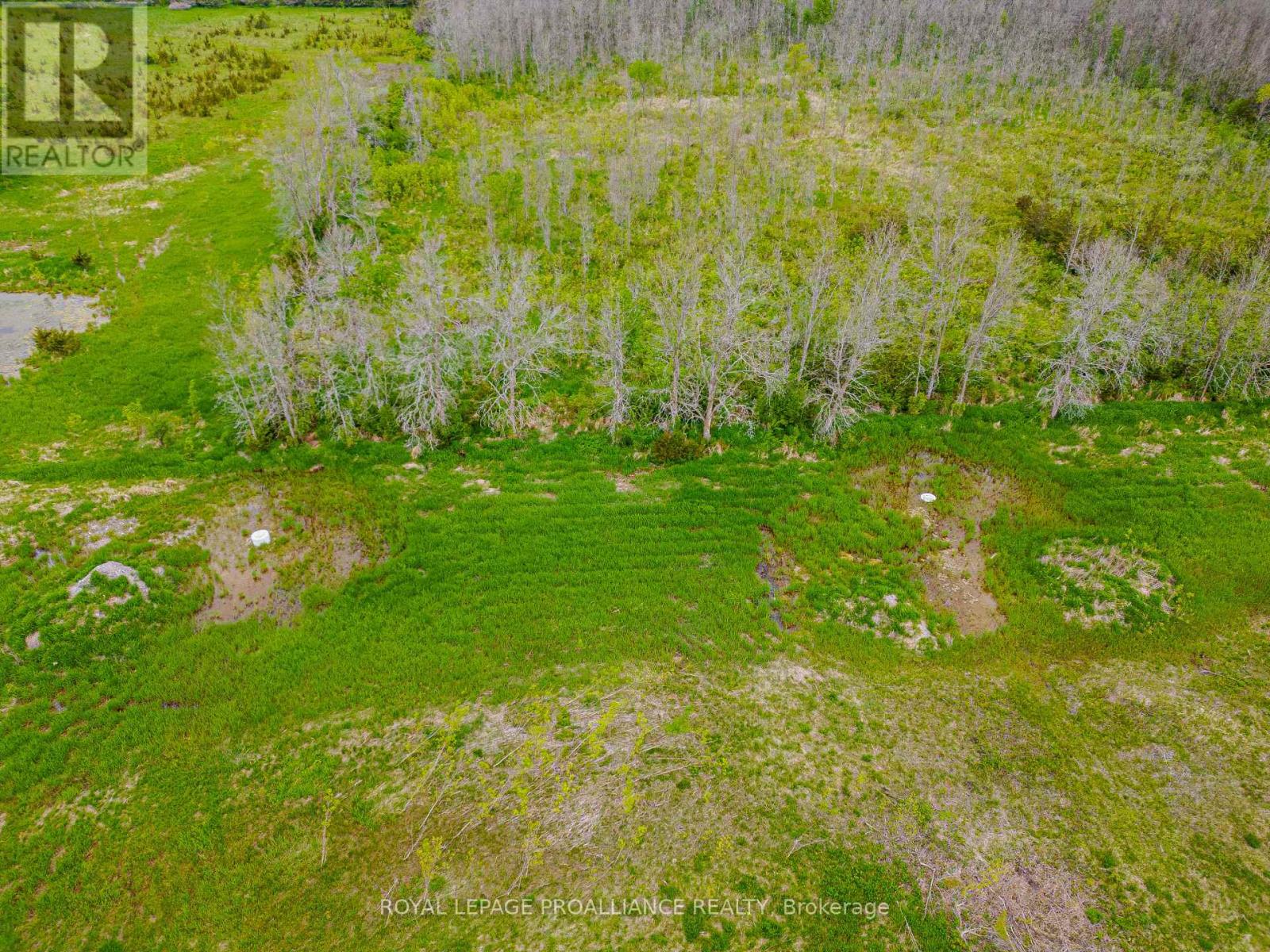 Parts 1 And 2 - Pt Lt 6 County Road 8, Greater Napanee, Ontario  K7R 3K7 - Photo 9 - X12340468