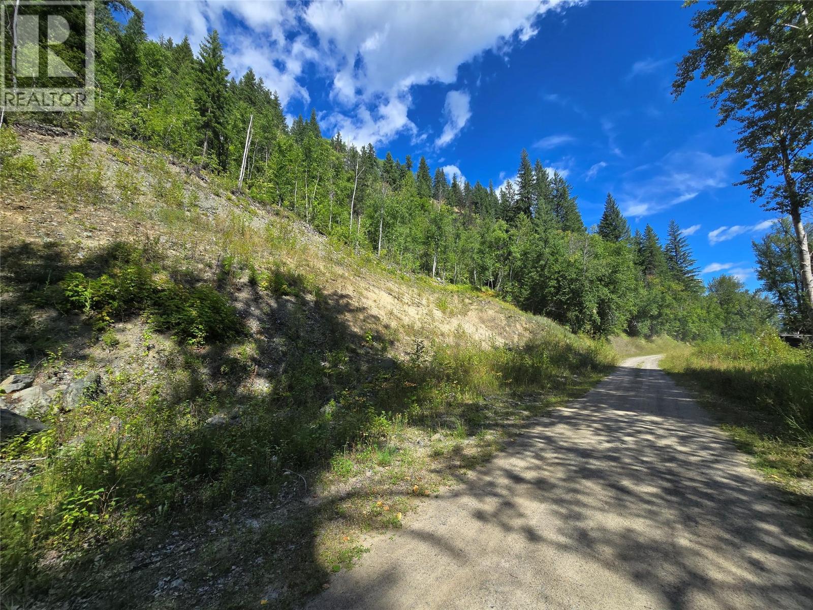 3418 ROUNDTOP Road, clearwater, British Columbia