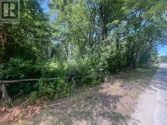 122-123 Riverview Beach Road, Georgina, Ontario  L0E 1N0 - Photo 3 - N12066737