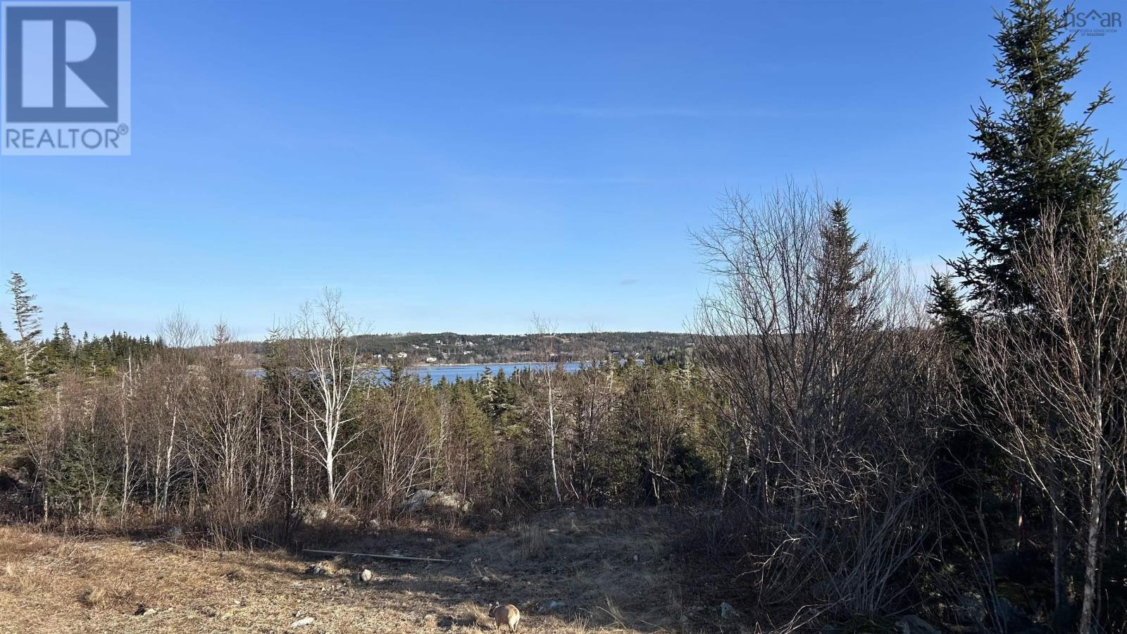Lot 4-B West Petpeswick Road, Musquodoboit Harbour, Nova Scotia  B0J 2L0 - Photo 21 - 202514974