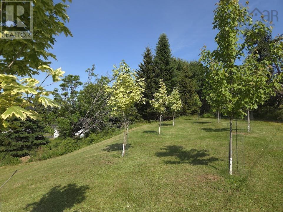 3781 Highway 332, Riverport, Nova Scotia  B0J 2W0 - Photo 43 - 202515094