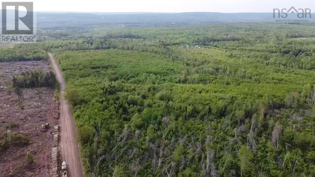 Lot 49+ Ac Rod Mackay Road, Four Mile Brook, Nova Scotia  B0K 1H0 - Photo 11 - 202513933