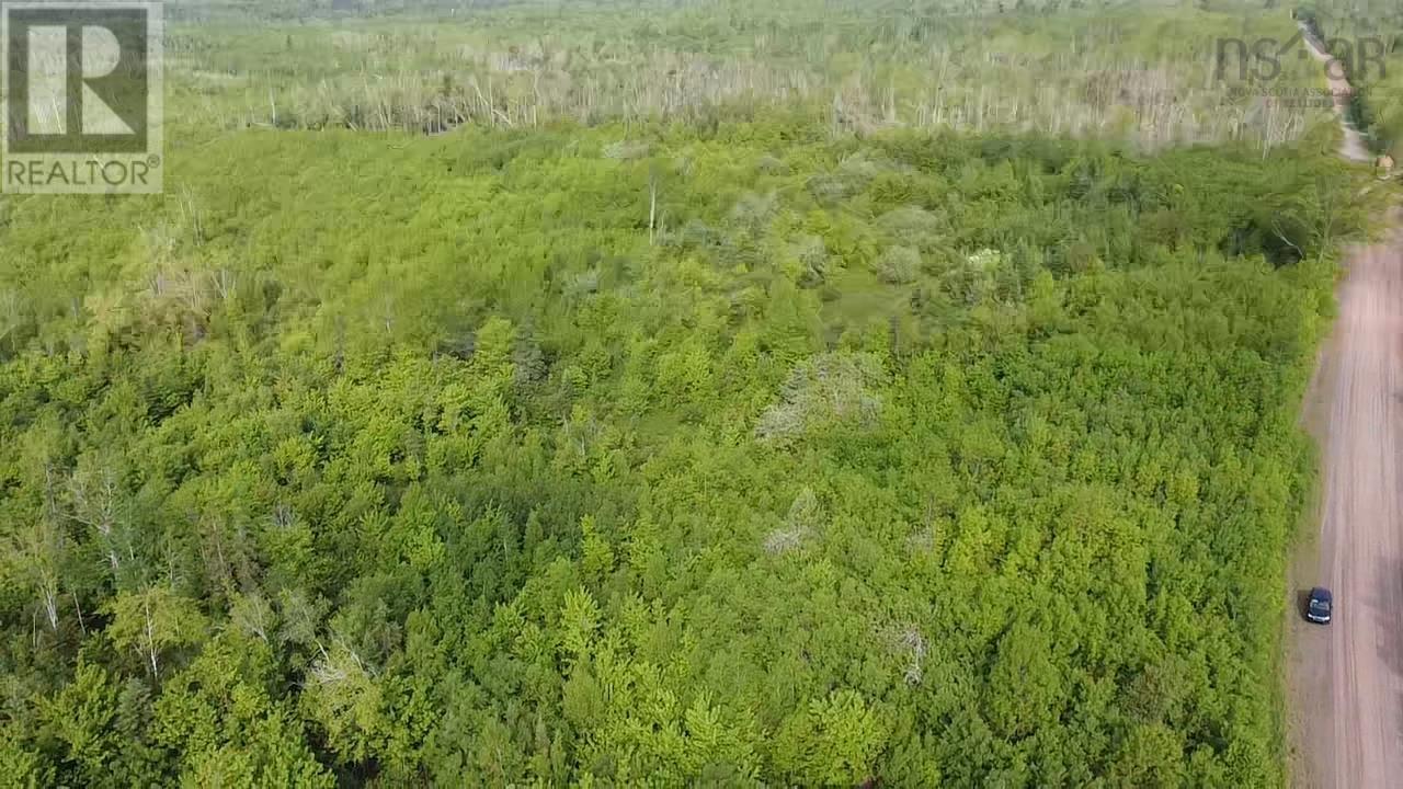 Lot 49+ Ac Rod Mackay Road, Four Mile Brook, Nova Scotia  B0K 1H0 - Photo 13 - 202513933