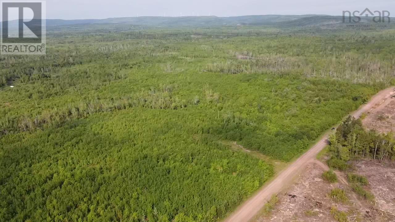 Lot 49+ Ac Rod Mackay Road, Four Mile Brook, Nova Scotia  B0K 1H0 - Photo 1 - 202513933
