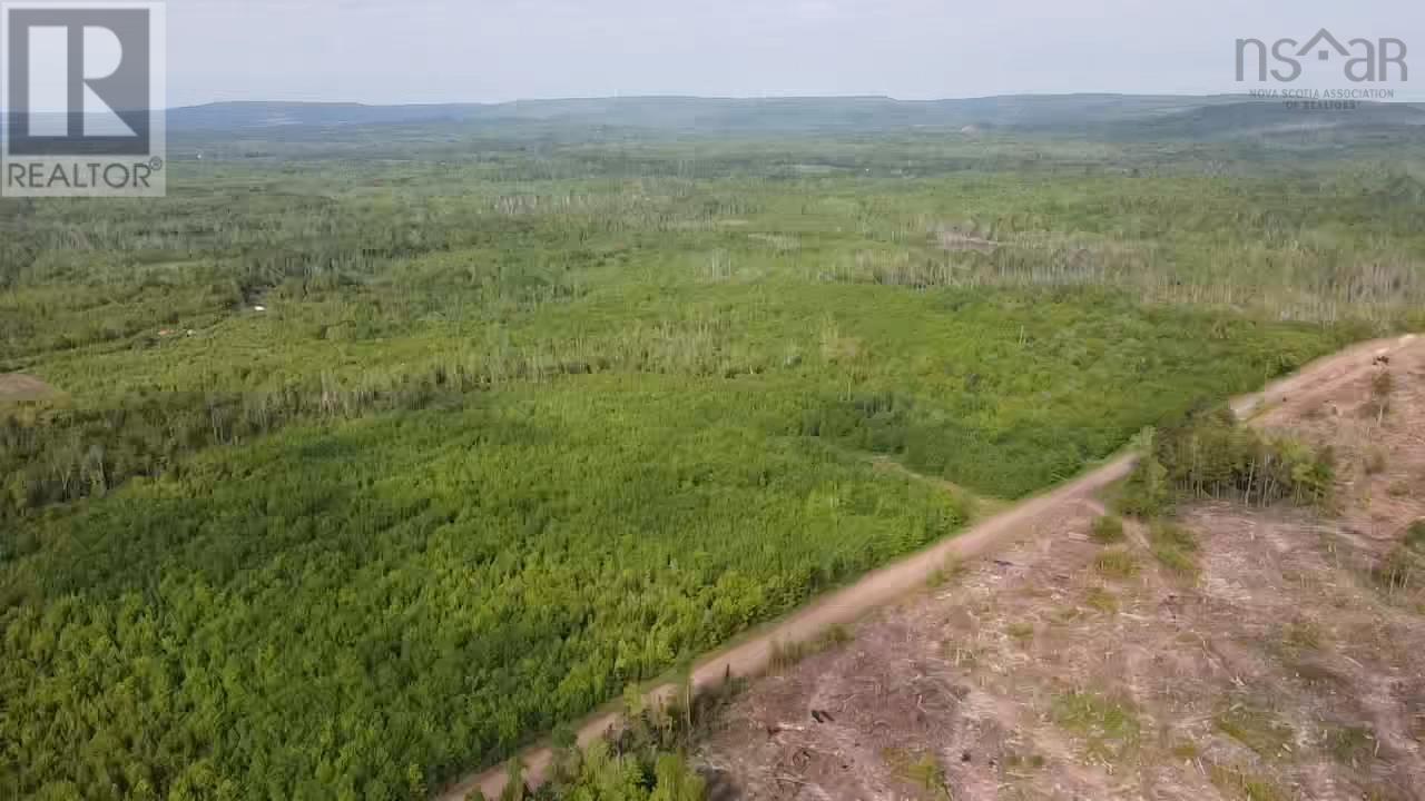 Lot 49+ Ac Rod Mackay Road, Four Mile Brook, Nova Scotia  B0K 1H0 - Photo 19 - 202513933