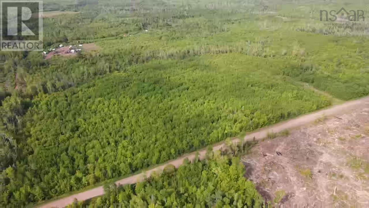 Lot 49+ Ac Rod Mackay Road, Four Mile Brook, Nova Scotia  B0K 1H0 - Photo 17 - 202513933