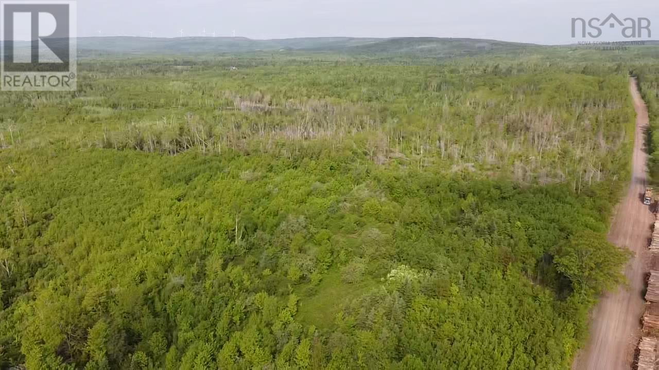 Lot 49+ Ac Rod Mackay Road, Four Mile Brook, Nova Scotia  B0K 1H0 - Photo 15 - 202513933