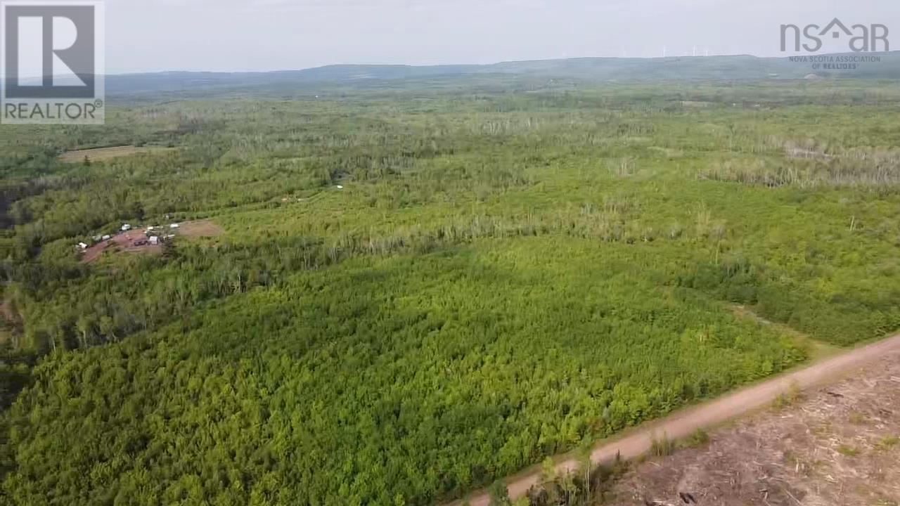 Lot 49+ Ac Rod Mackay Road, Four Mile Brook, Nova Scotia  B0K 1H0 - Photo 20 - 202513933