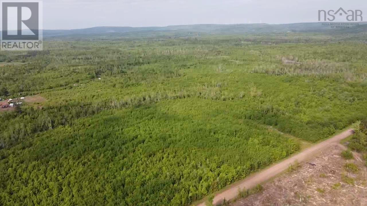 Lot 49+ Ac Rod Mackay Road, Four Mile Brook, Nova Scotia  B0K 1H0 - Photo 21 - 202513933