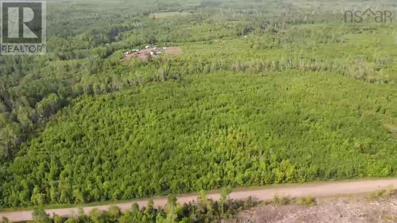 Lot 49+ Ac Rod Mackay Road, Four Mile Brook, Nova Scotia  B0K 1H0 - Photo 25 - 202513933