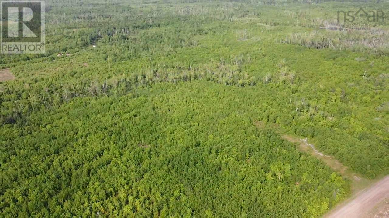 Lot 49+ Ac Rod Mackay Road, Four Mile Brook, Nova Scotia  B0K 1H0 - Photo 23 - 202513933