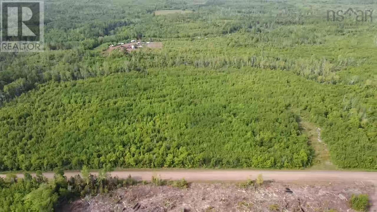 Lot 49+ Ac Rod Mackay Road, Four Mile Brook, Nova Scotia  B0K 1H0 - Photo 27 - 202513933