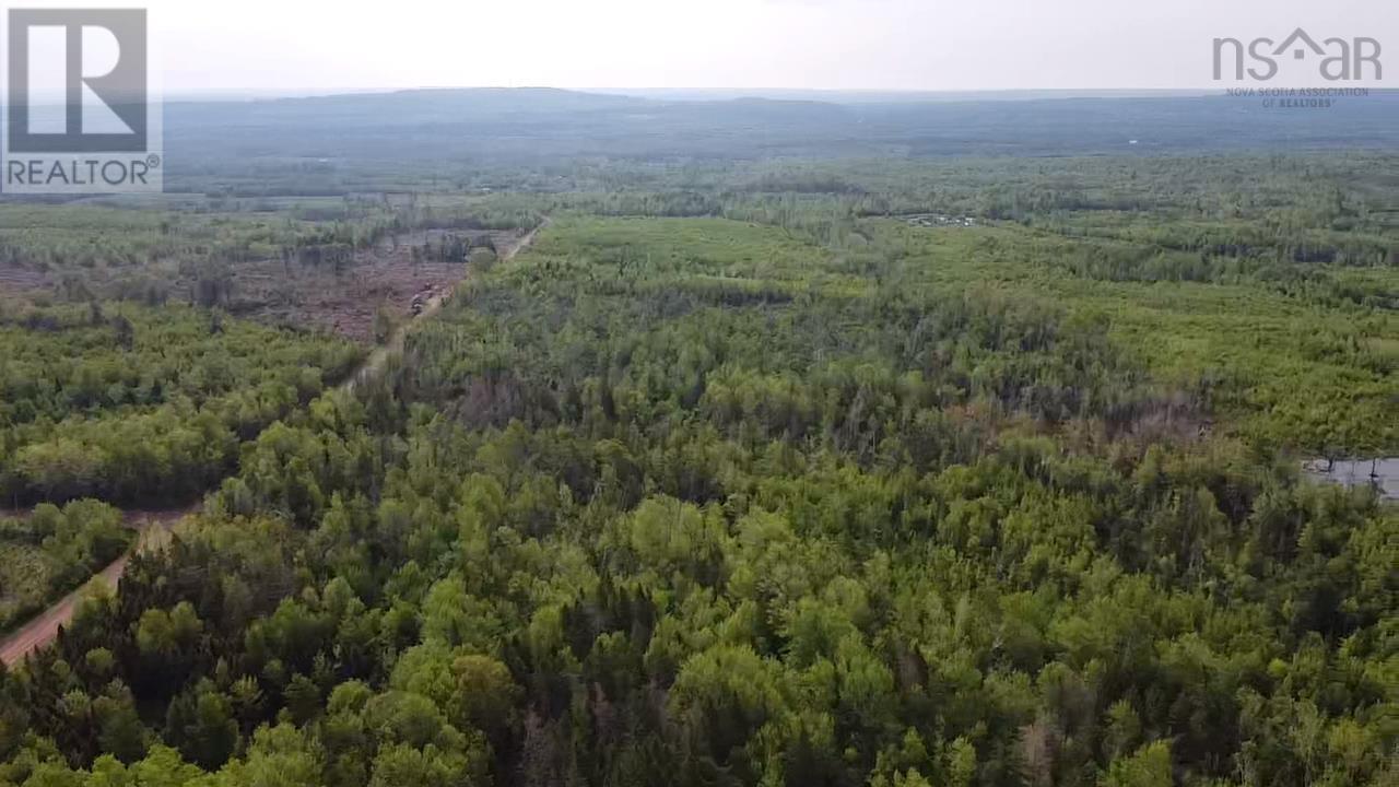 Lot 49+ Ac Rod Mackay Road, Four Mile Brook, Nova Scotia  B0K 1H0 - Photo 5 - 202513933
