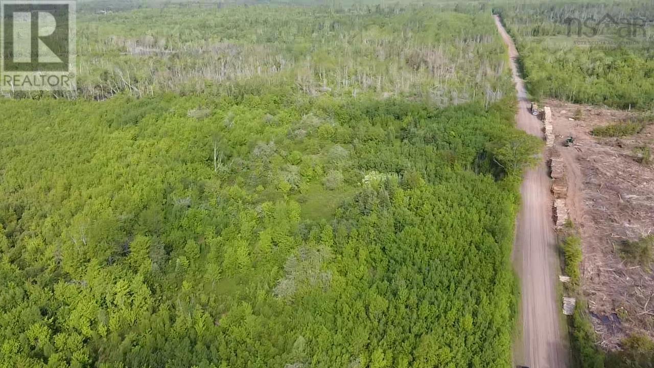 Lot 49+ Ac Rod Mackay Road, Four Mile Brook, Nova Scotia  B0K 1H0 - Photo 14 - 202513933