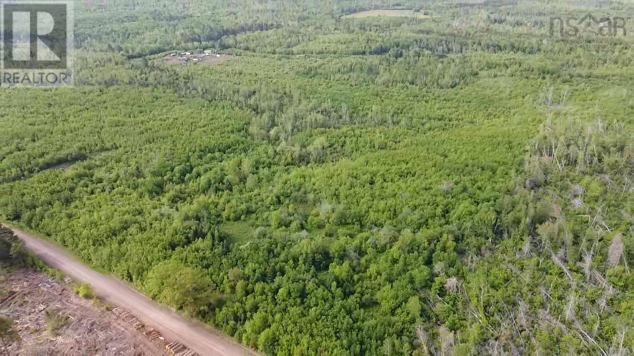 Lot 49+ Ac Rod Mackay Road, Four Mile Brook, Nova Scotia  B0K 1H0 - Photo 10 - 202513933