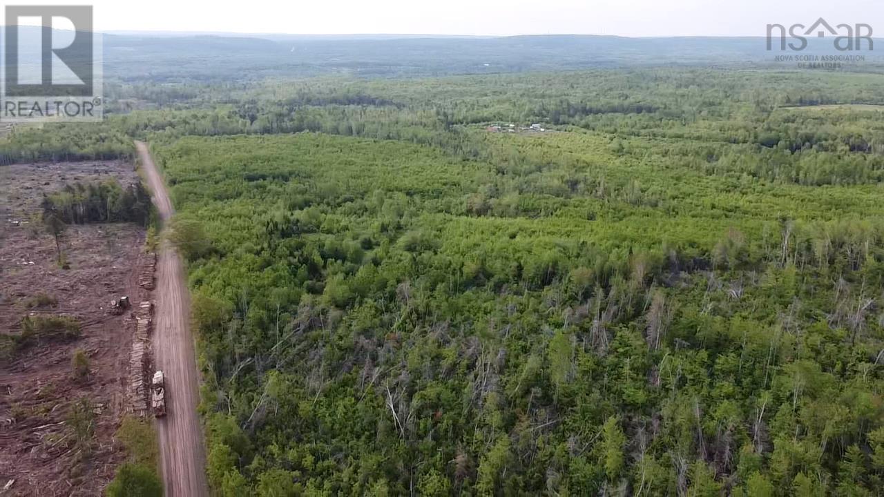 Lot 49+ Ac Rod Mackay Road, Four Mile Brook, Nova Scotia  B0K 1H0 - Photo 12 - 202513933