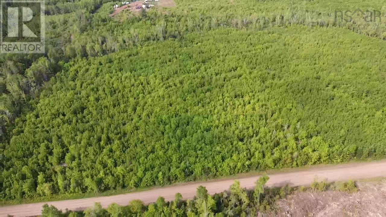 Lot 49+ Ac Rod Mackay Road, Four Mile Brook, Nova Scotia  B0K 1H0 - Photo 24 - 202513933