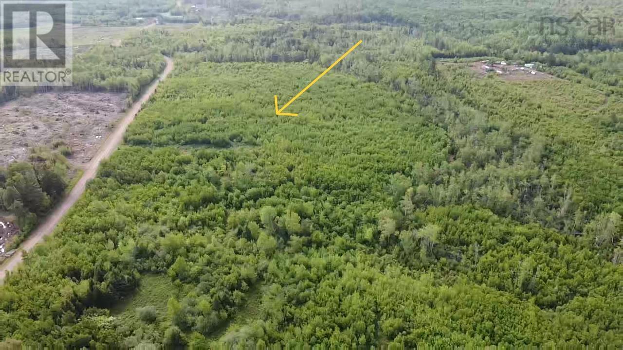 Lot 49+ Ac Rod Mackay Road, Four Mile Brook, Nova Scotia  B0K 1H0 - Photo 7 - 202513933