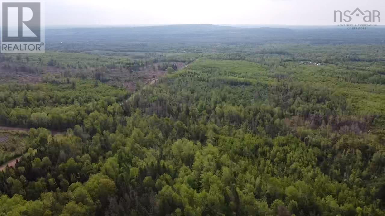 Lot 49+ Ac Rod Mackay Road, Four Mile Brook, Nova Scotia  B0K 1H0 - Photo 6 - 202513933