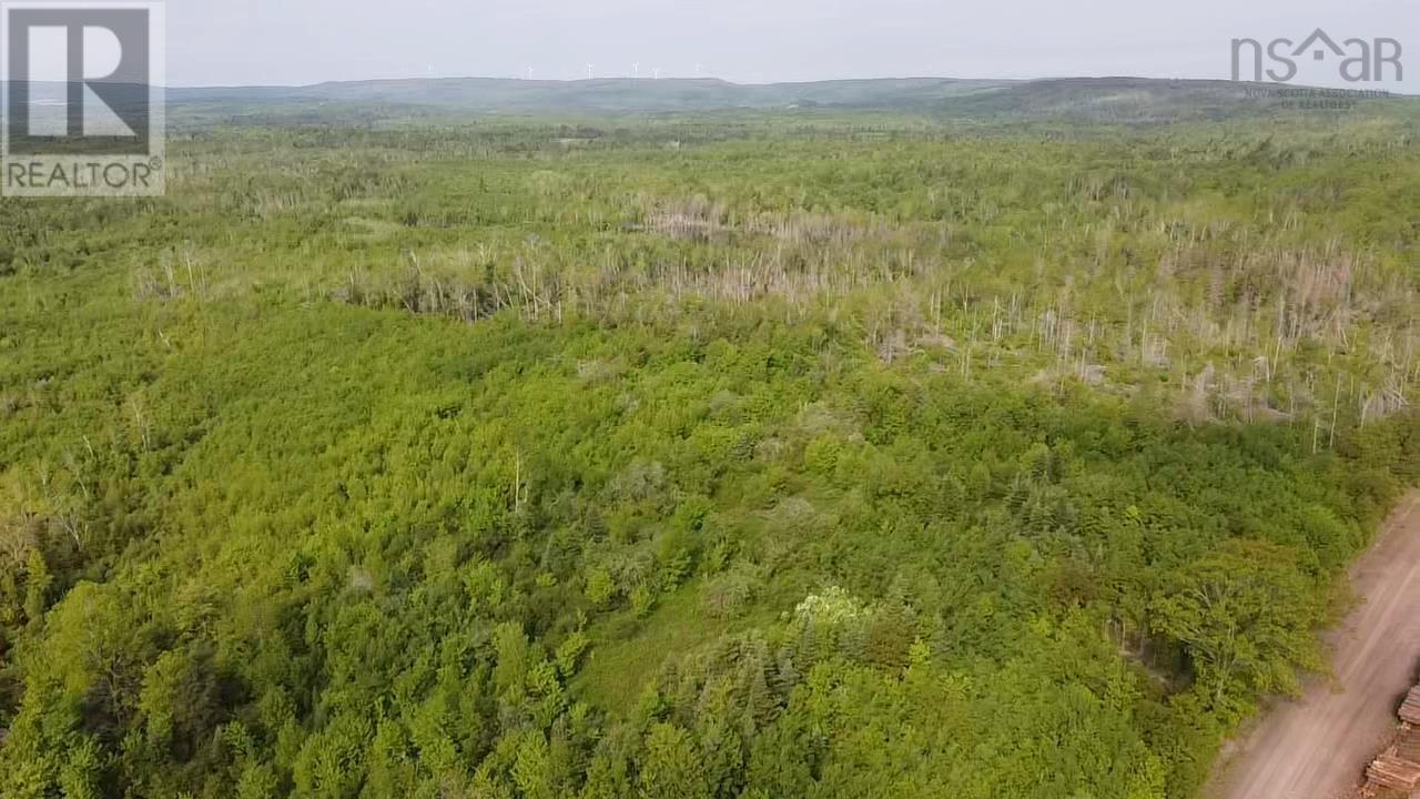 Lot 49+ Ac Rod Mackay Road, Four Mile Brook, Nova Scotia  B0K 1H0 - Photo 16 - 202513933
