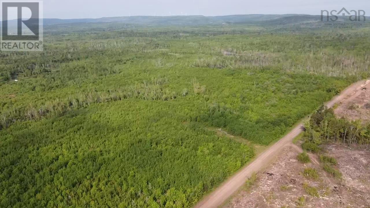 Lot 49+ Ac Rod Mackay Road, Four Mile Brook, Nova Scotia  B0K 1H0 - Photo 22 - 202513933
