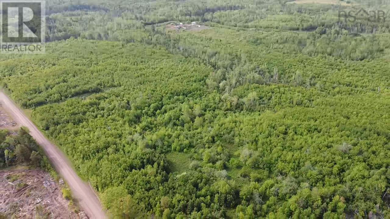 Lot 49+ Ac Rod Mackay Road, Four Mile Brook, Nova Scotia  B0K 1H0 - Photo 9 - 202513933
