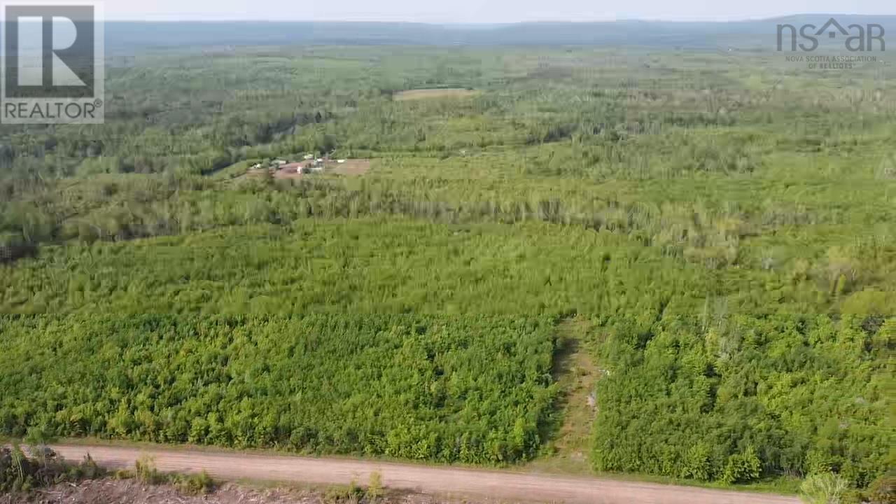 Lot 49+ Ac Rod Mackay Road, Four Mile Brook, Nova Scotia  B0K 1H0 - Photo 28 - 202513933
