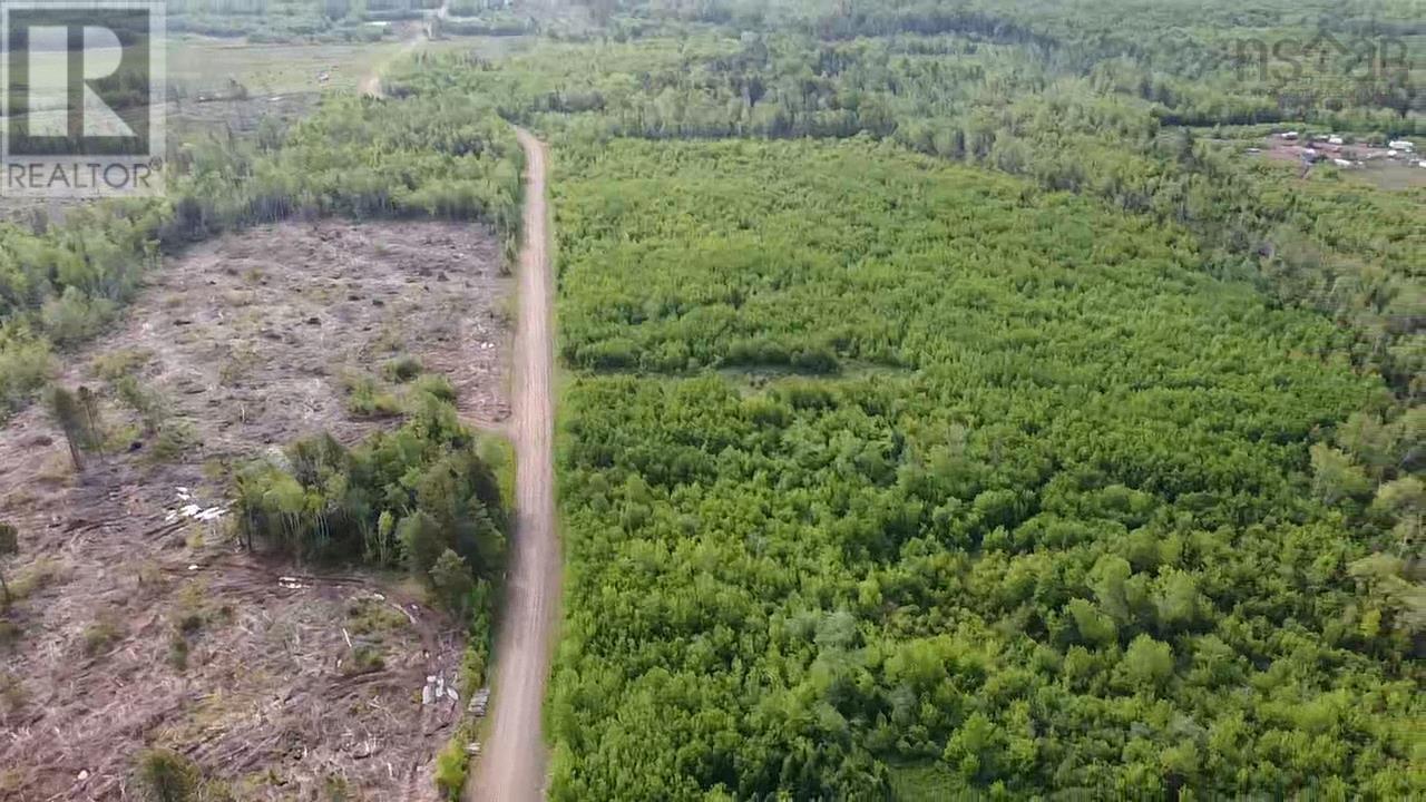 Lot 49+ Ac Rod Mackay Road, Four Mile Brook, Nova Scotia  B0K 1H0 - Photo 8 - 202513933