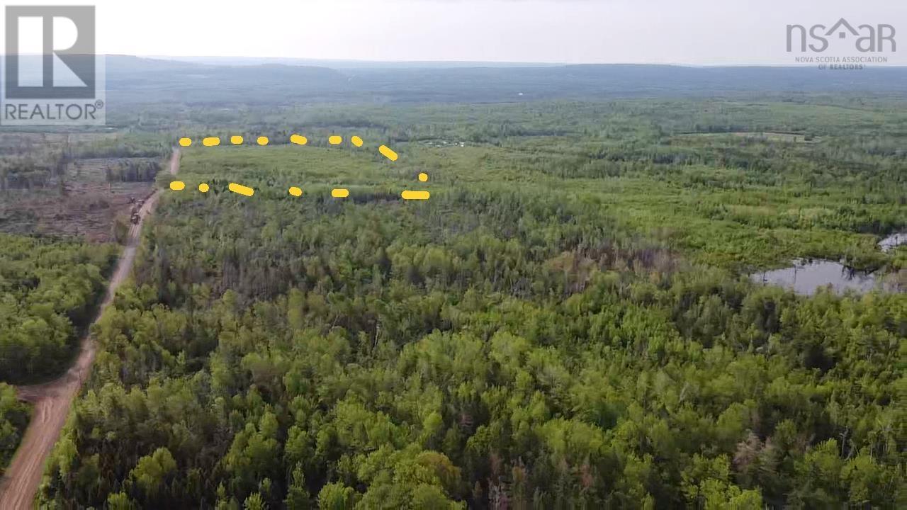 Lot 49+ Ac Rod Mackay Road, Four Mile Brook, Nova Scotia  B0K 1H0 - Photo 4 - 202513933