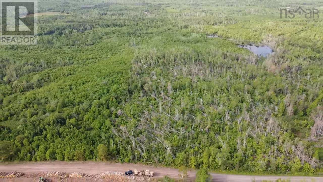 Lot 49+ Ac Rod Mackay Road, Four Mile Brook, Nova Scotia  B0K 1H0 - Photo 3 - 202513933