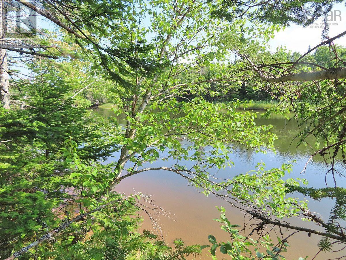 Lot5 Lower River Road, Grantville, Nova Scotia  B0E 1J0 - Photo 10 - 202403617