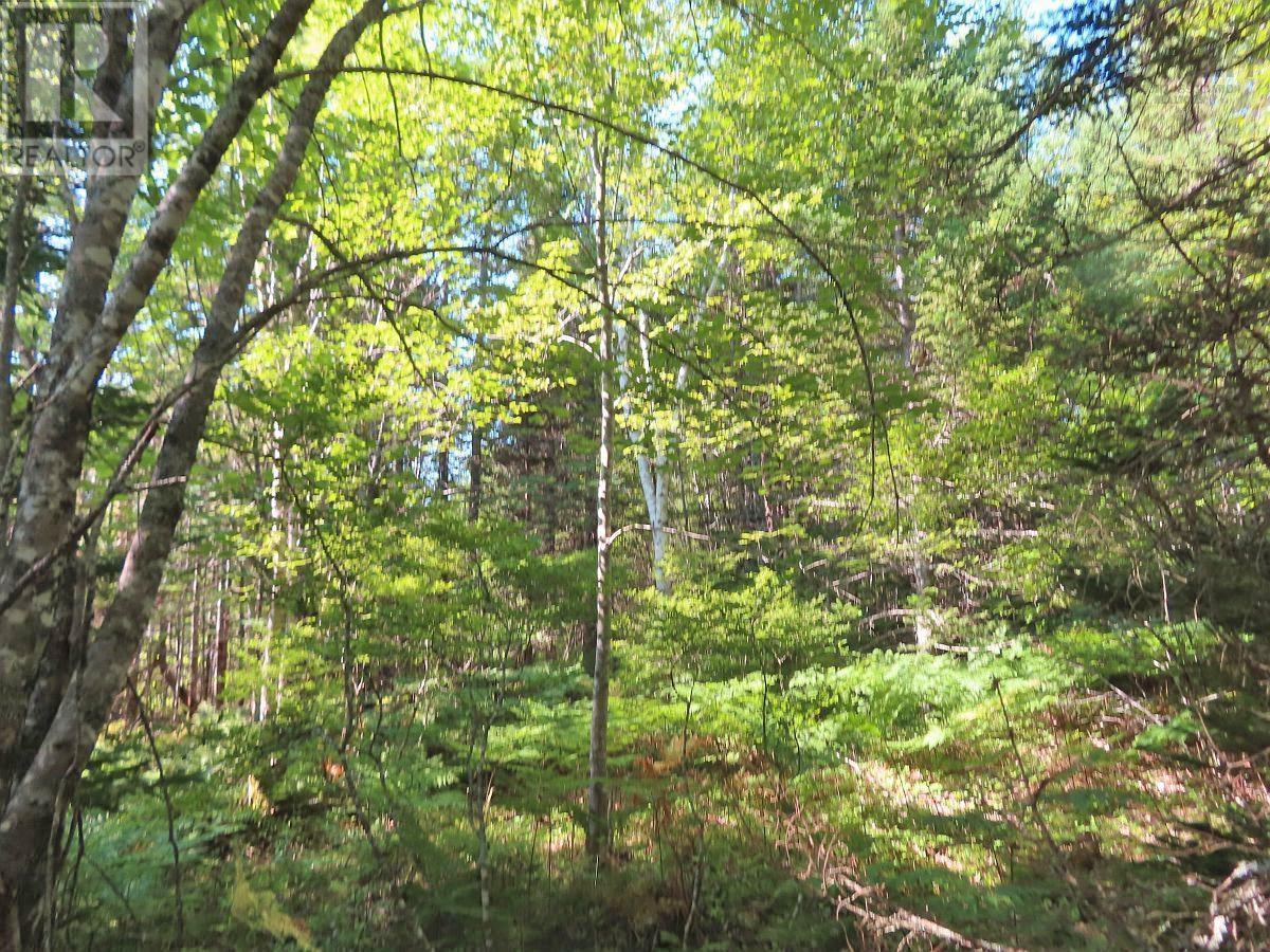 Lot5 Lower River Road, Grantville, Nova Scotia  B0E 1J0 - Photo 17 - 202403617