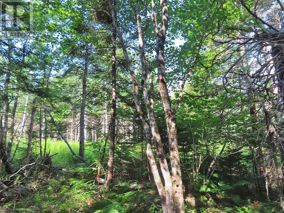 Lot5 Lower River Road, Grantville, Nova Scotia  B0E 1J0 - Photo 20 - 202403617