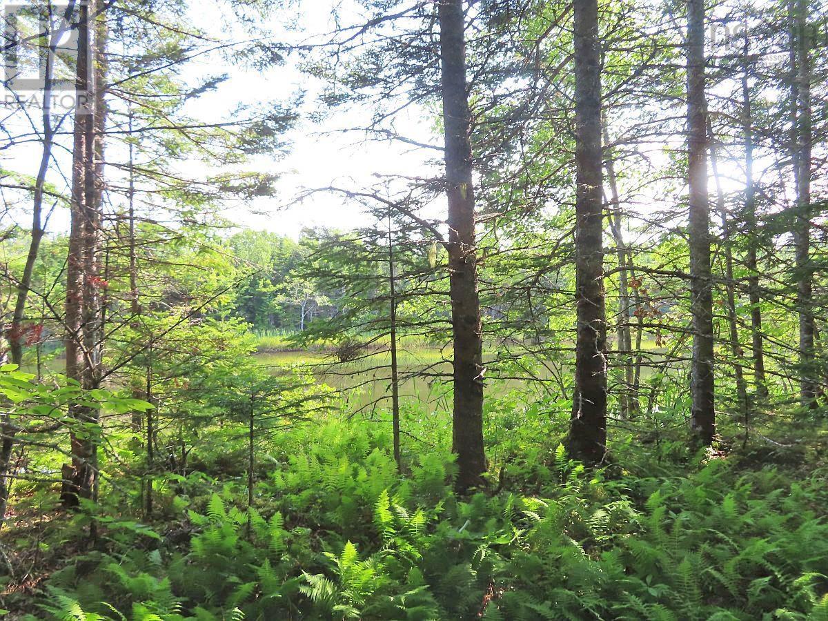 Lot5 Lower River Road, Grantville, Nova Scotia  B0E 1J0 - Photo 13 - 202403617