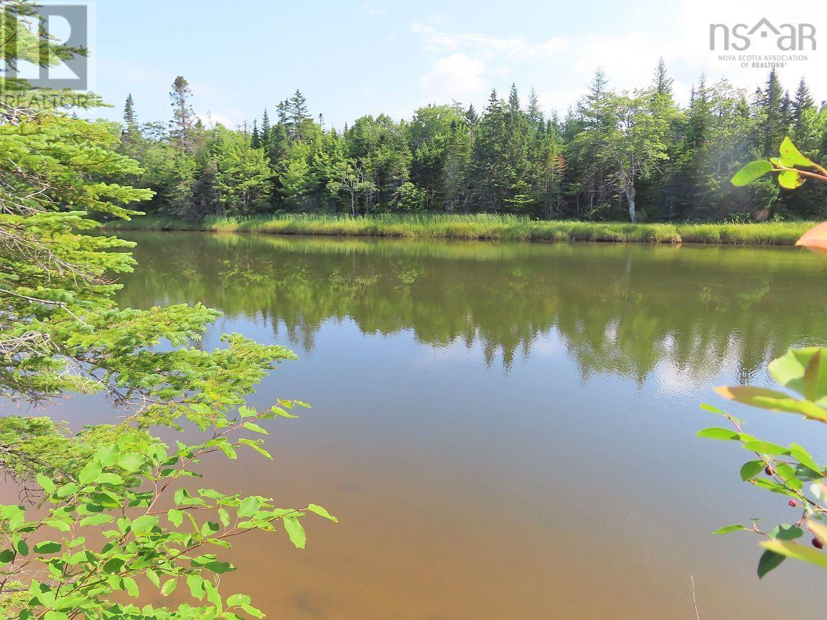 Lot5 Lower River Road, Grantville, Nova Scotia  B0E 1J0 - Photo 5 - 202403617