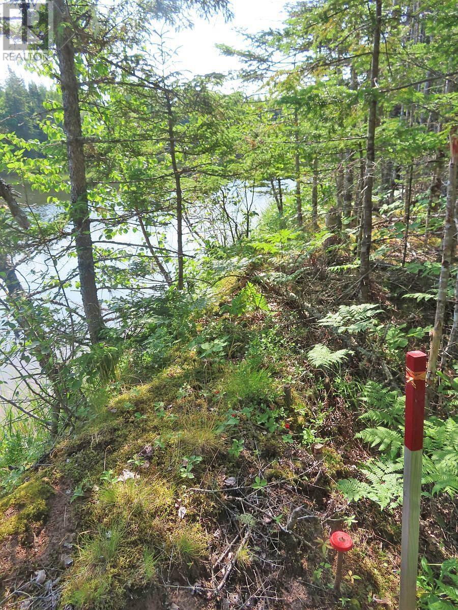Lot5 Lower River Road, Grantville, Nova Scotia  B0E 1J0 - Photo 8 - 202403617