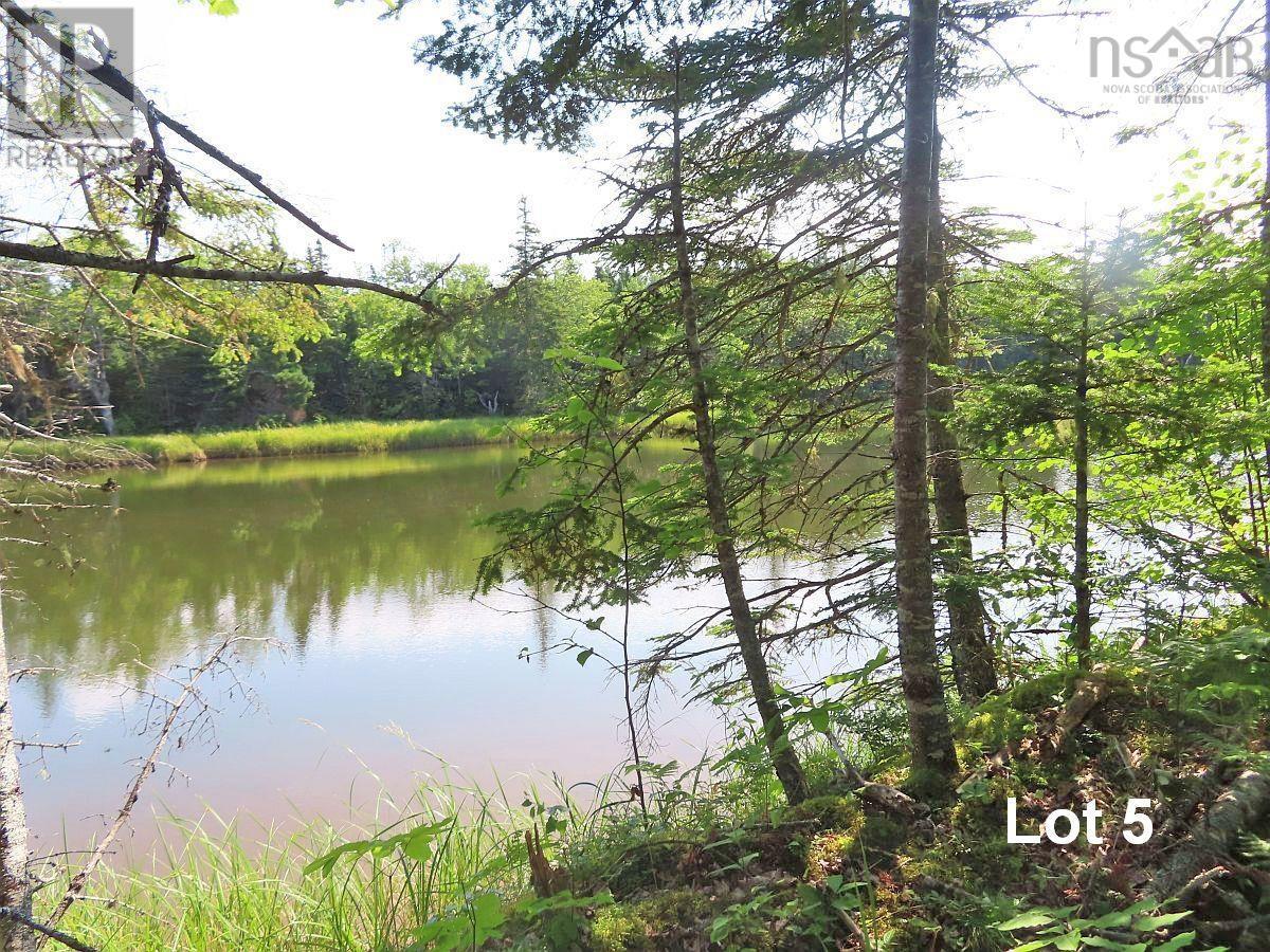 Lot5 Lower River Road, Grantville, Nova Scotia  B0E 1J0 - Photo 9 - 202403617