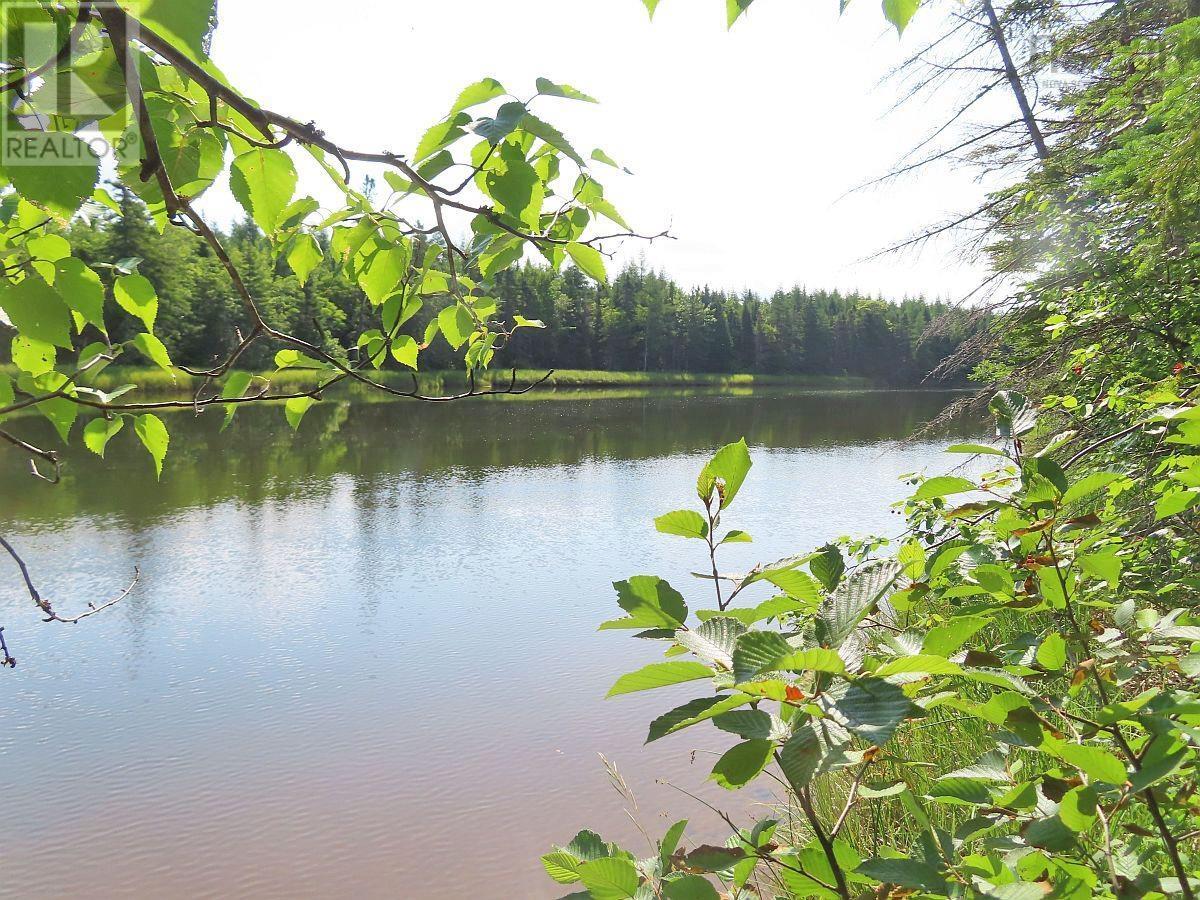 Lot5 Lower River Road, Grantville, Nova Scotia  B0E 1J0 - Photo 6 - 202403617