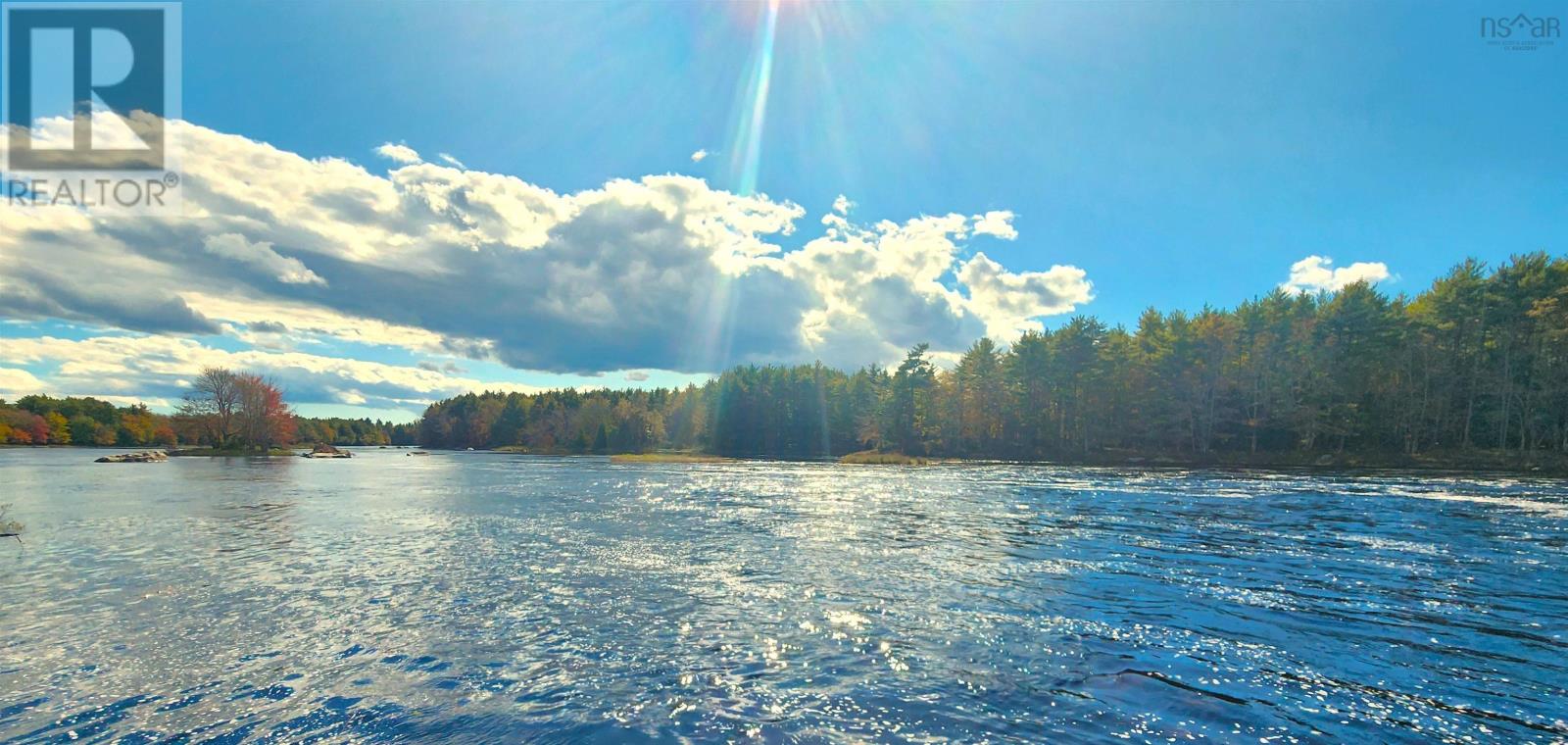 Murray Meadows, Riversdale, Nova Scotia  B0J 2H0 - Photo 16 - 202321813