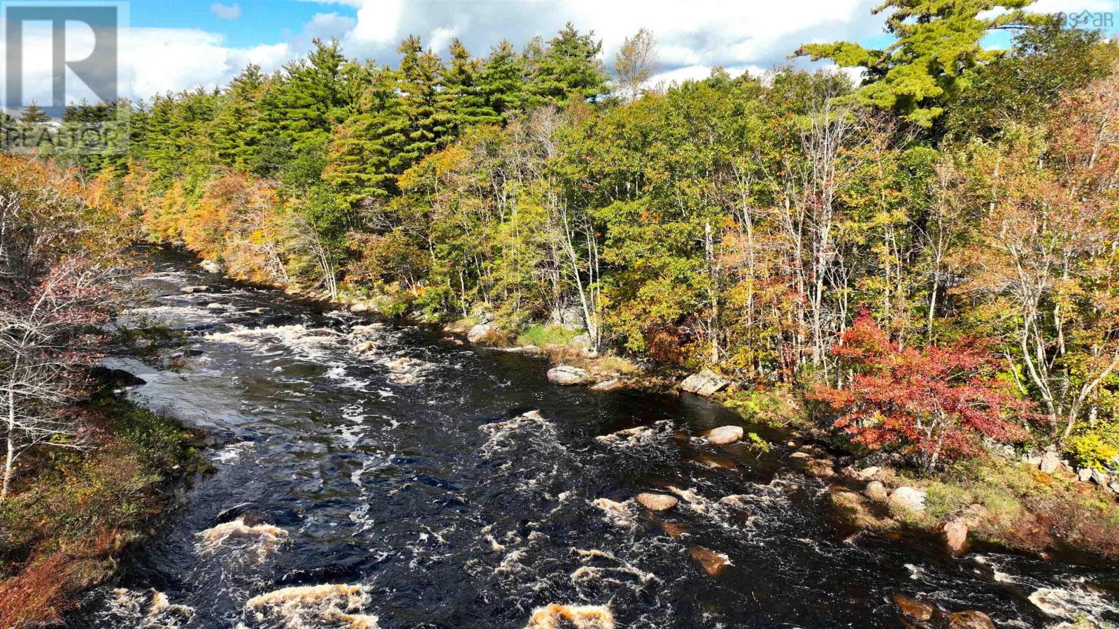 Murray Meadows, Riversdale, Nova Scotia  B0J 2H0 - Photo 21 - 202321813