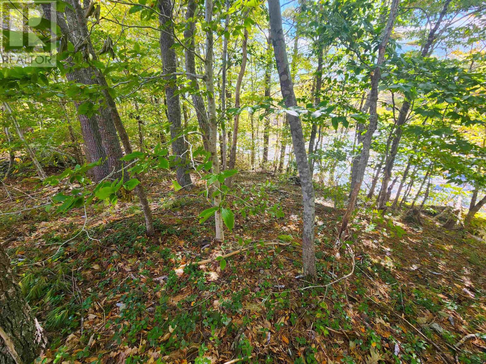 Murray Meadows, Riversdale, Nova Scotia  B0J 2H0 - Photo 11 - 202321813