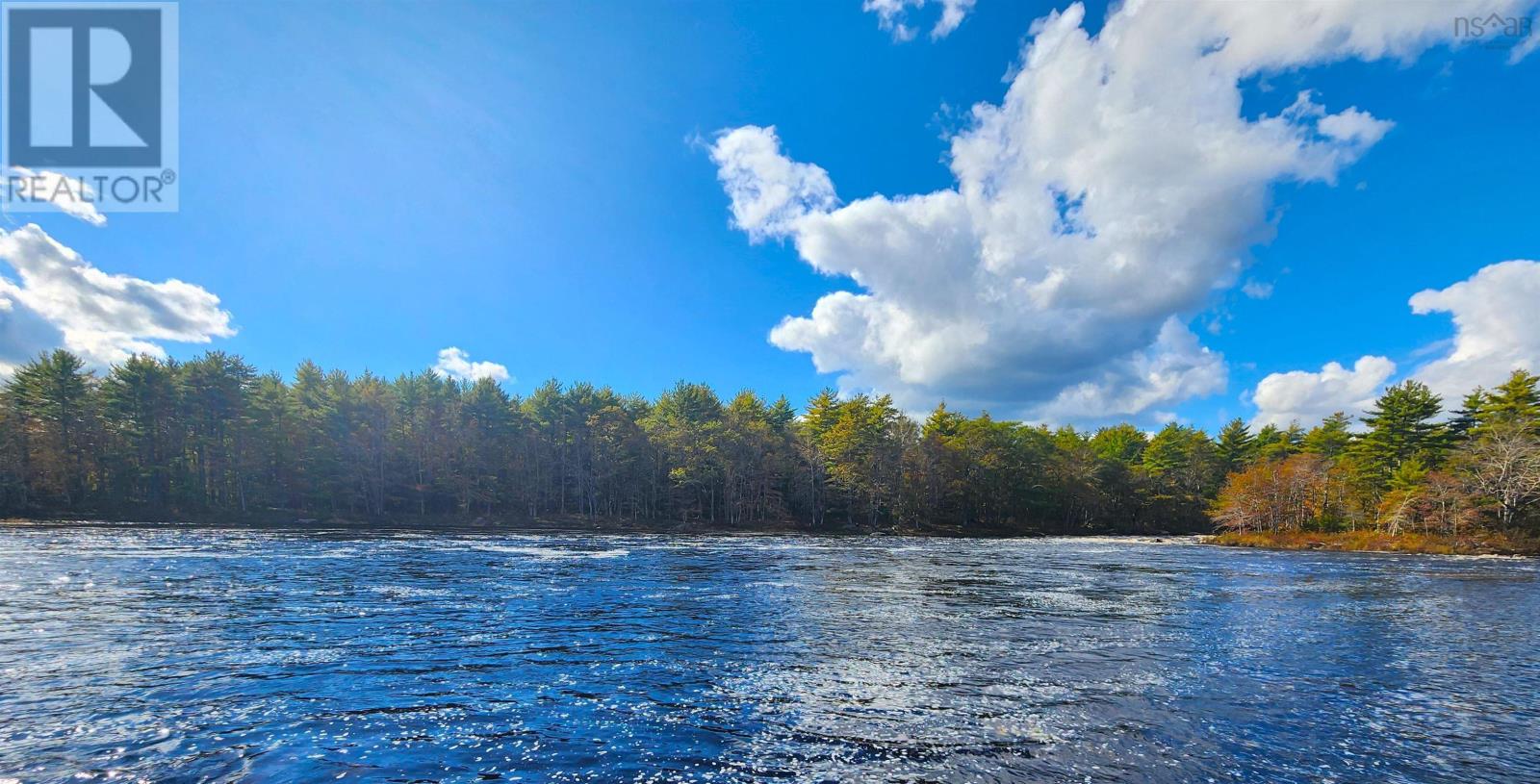 Murray Meadows, Riversdale, Nova Scotia  B0J 2H0 - Photo 14 - 202321813