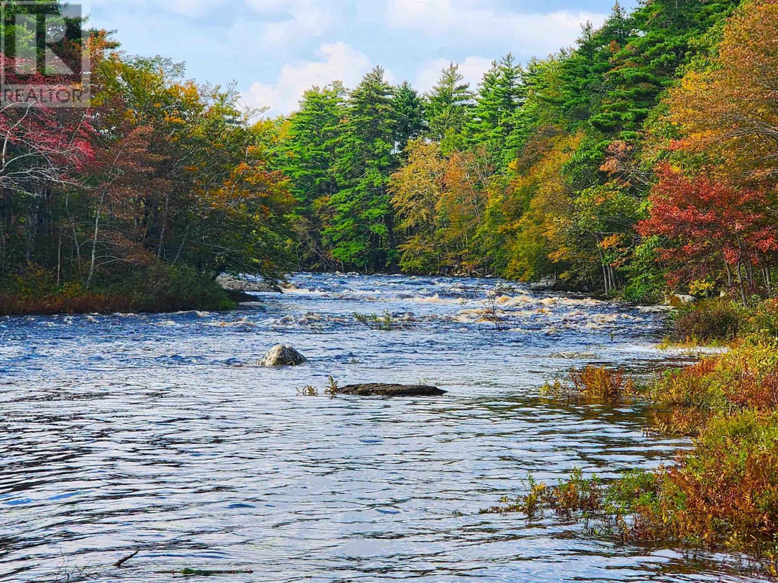 Murray Meadows, Riversdale, Nova Scotia  B0J 2H0 - Photo 10 - 202321813