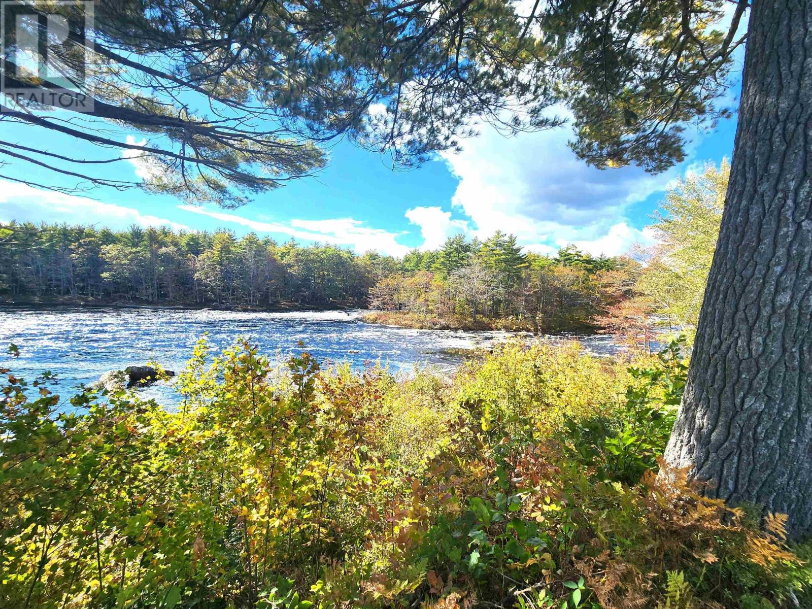 Murray Meadows, Riversdale, Nova Scotia  B0J 2H0 - Photo 17 - 202321813