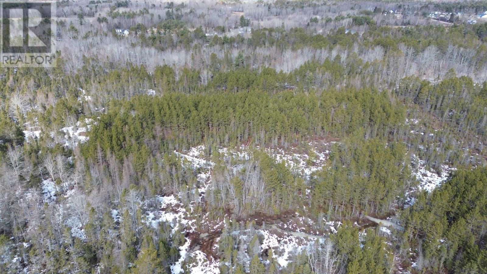 Highway 201, South Farmington, Nova Scotia  B0P 1W0 - Photo 16 - 202505010
