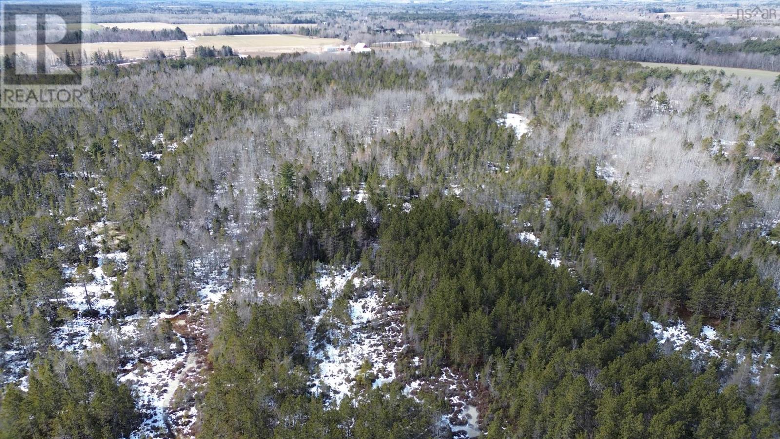 Highway 201, South Farmington, Nova Scotia  B0P 1W0 - Photo 21 - 202505010