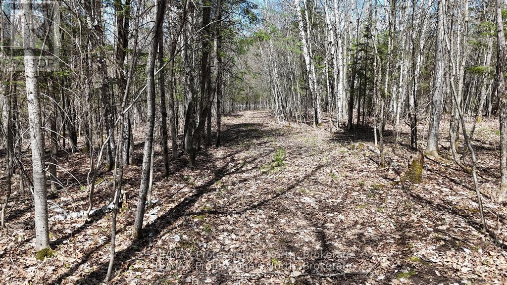0 Osprey Road, Minden Hills, Ontario  K0M 2K0 - Photo 10 - X12341228